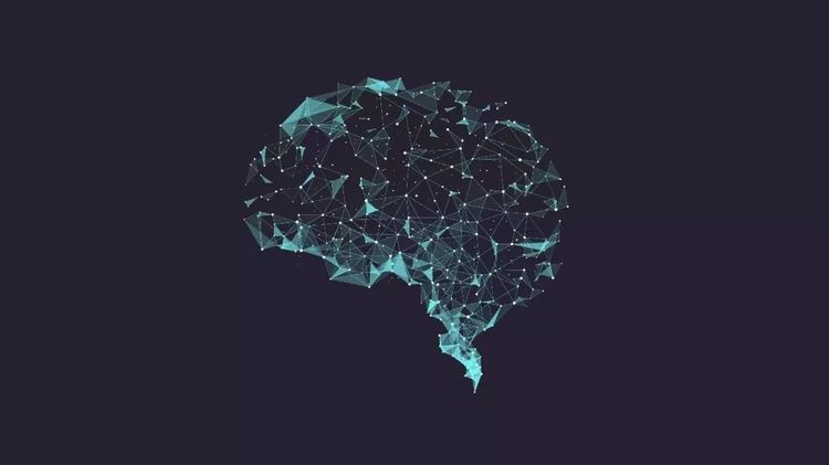 L先生・智识训练营3.0