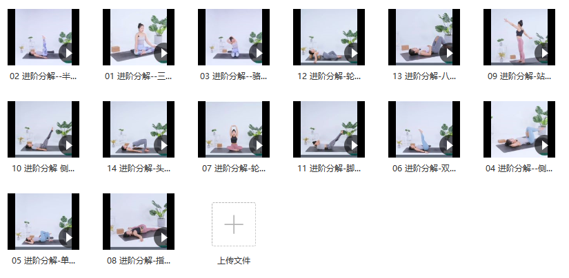 碧茜-灵动致心14天流瑜伽中级进阶