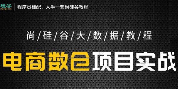 尚硅谷大数据教程之电商数仓项目5.0抢先版