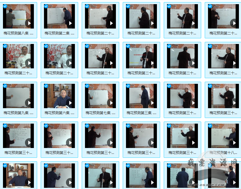 唐友权梅花易数课程梅花精断 36集