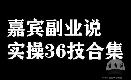 嘉宾副业说实操36技