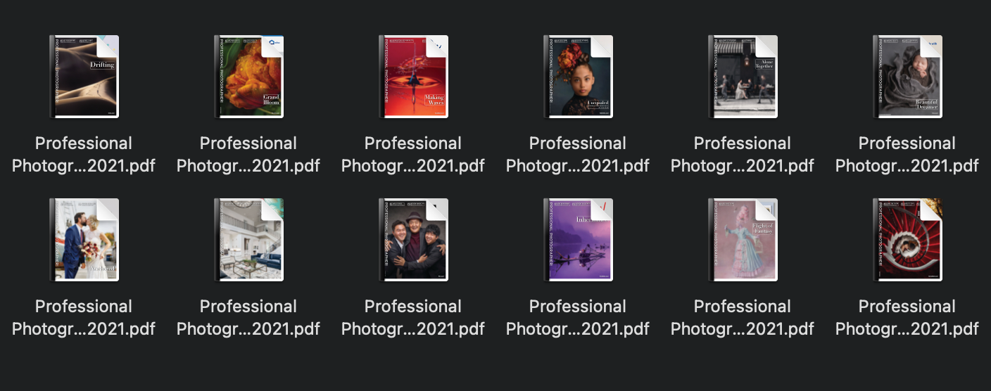 专业摄影师艺术杂志2021年度全集-pdf