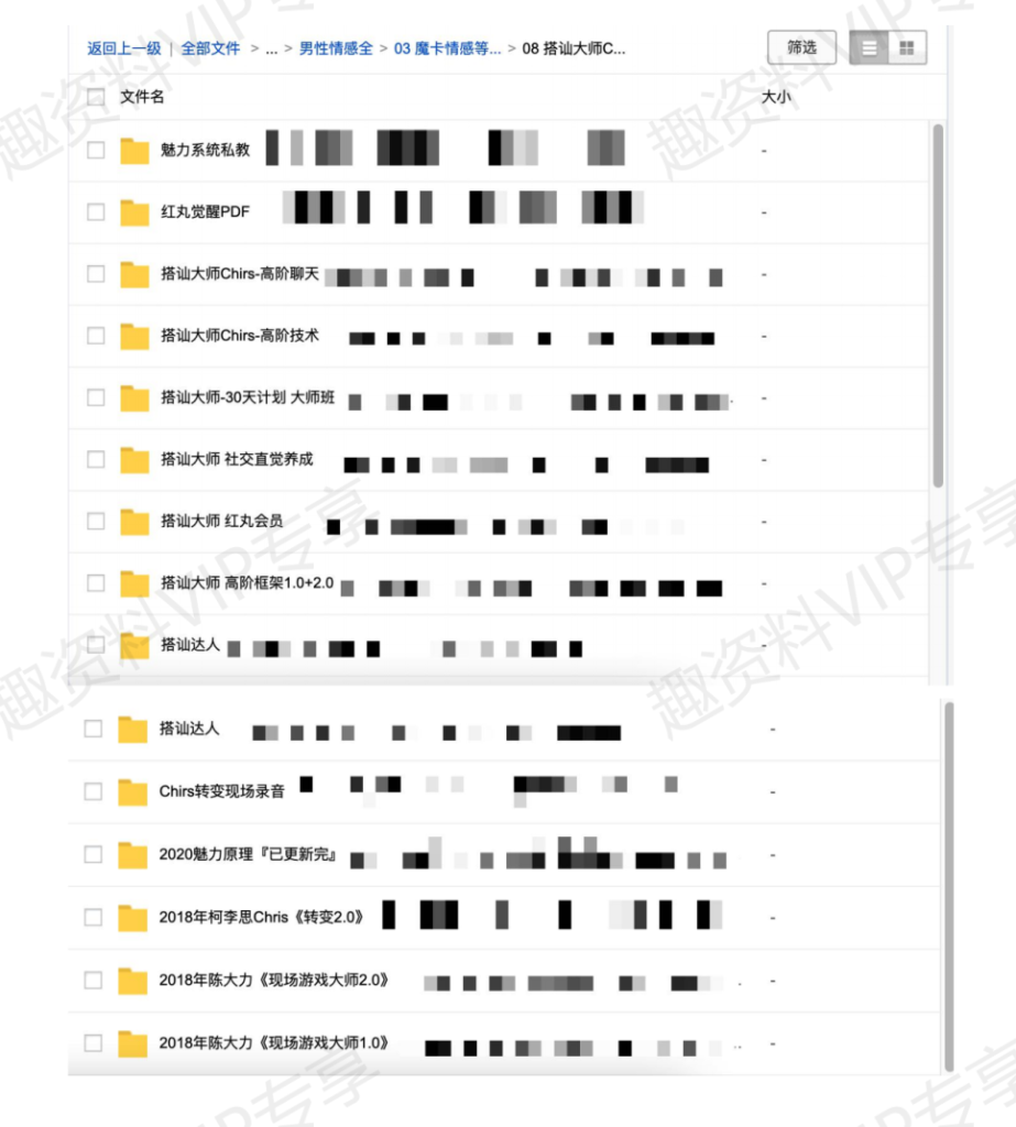 搭讪大师柯李思Chirs全套视频课程-红丸觉醒-高阶聊天-社交直觉养成插图