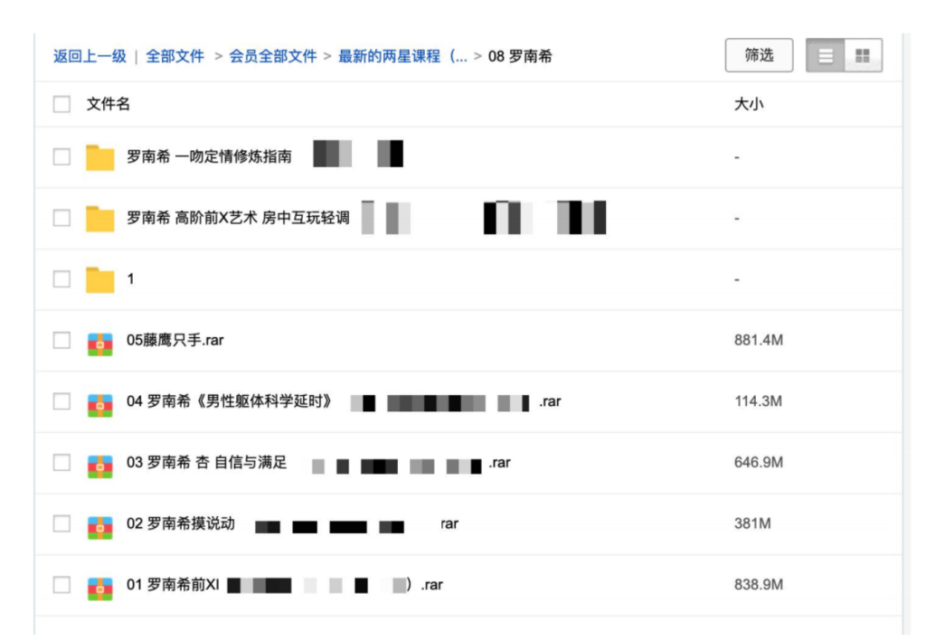 罗南希nancy全套教学视频课程-前戏-摸说动-好体位百度网盘插图