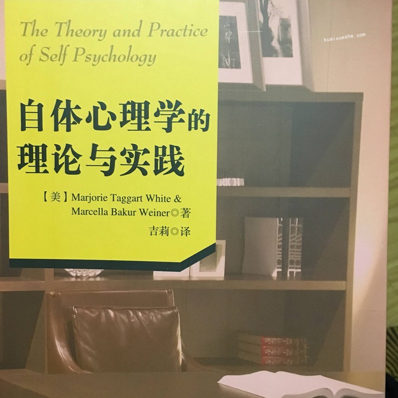 卢林 科胡特自体心理学理论和临床实践30讲