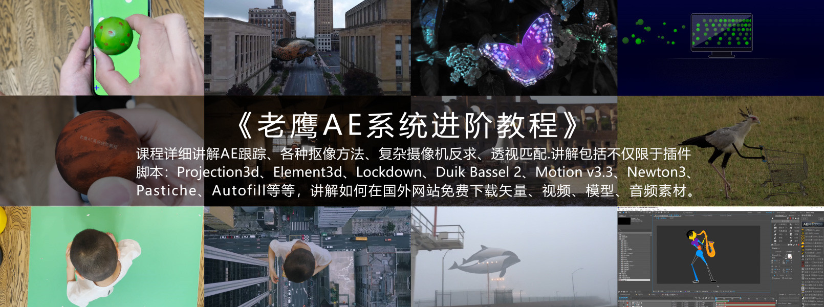 老鹰AE系统进阶教程2021年【画质高清有素材】