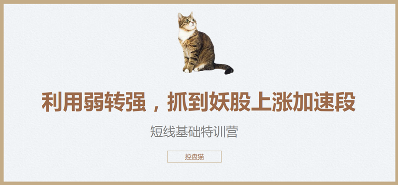 控盘猫短线基础特训营，控盘猫翻倍计划