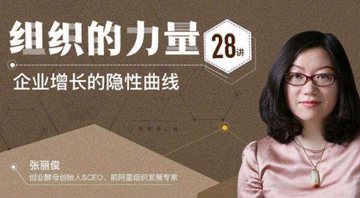 张丽俊组织的力量28讲插图 张丽俊组织的力量28讲插图