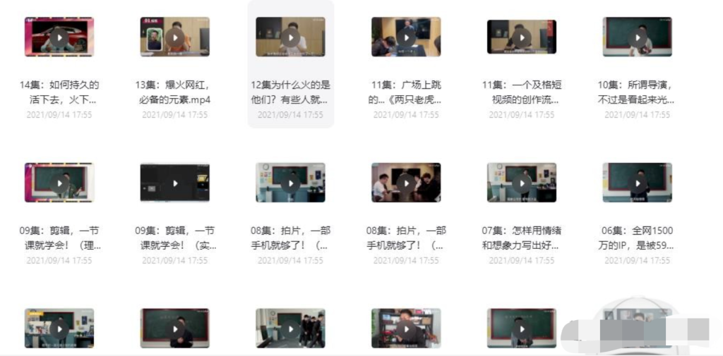 短视频导演养成记插图