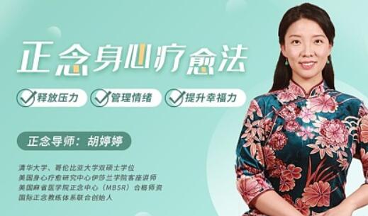 正念身心疗愈法：释放压力、管理情绪，提升幸福力-百度云分享