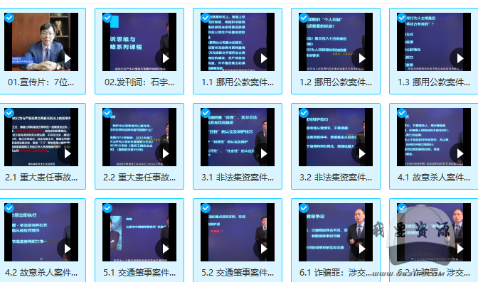 公诉思维与辩护策略：案件实景详解刑辩实务（完结）