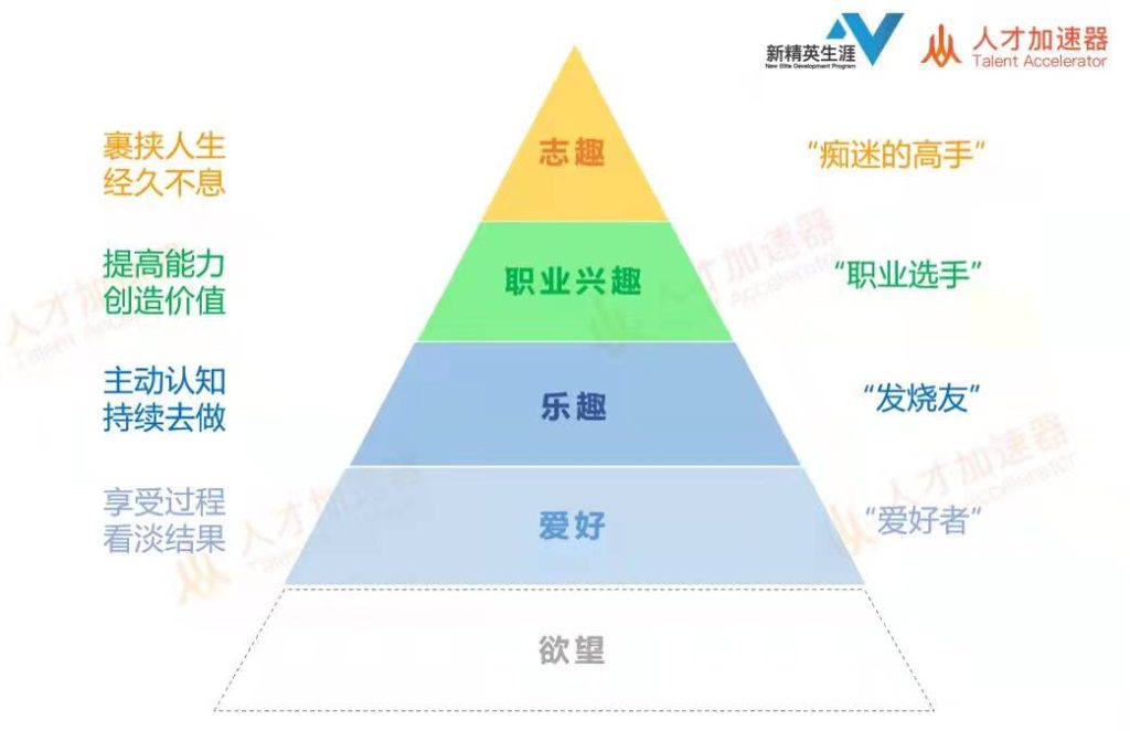 真正的爱好是什么样的？插图