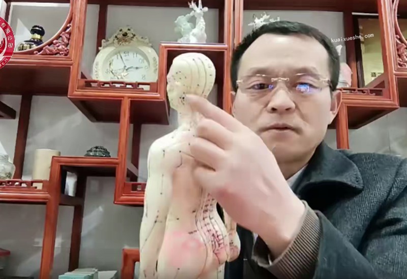 中医五行能量手百度云分享