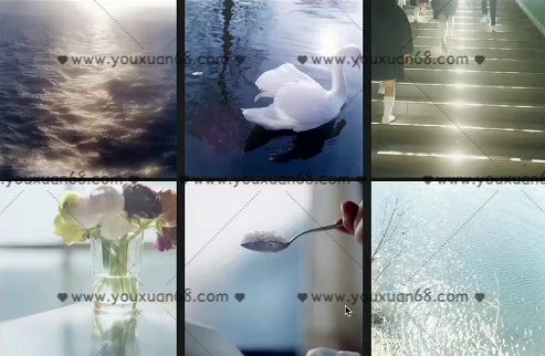 泰罗摄影综合课第11期2021年【画质高清】