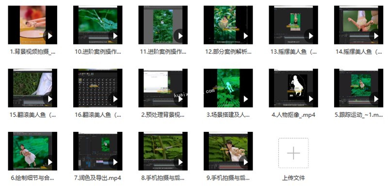 波妞波力的视频通用教程+视频素材+辅导班