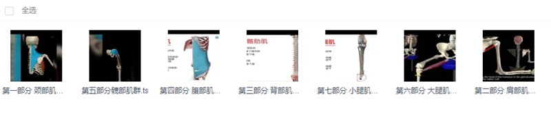 3D动画解剖与体态关系百度云分享