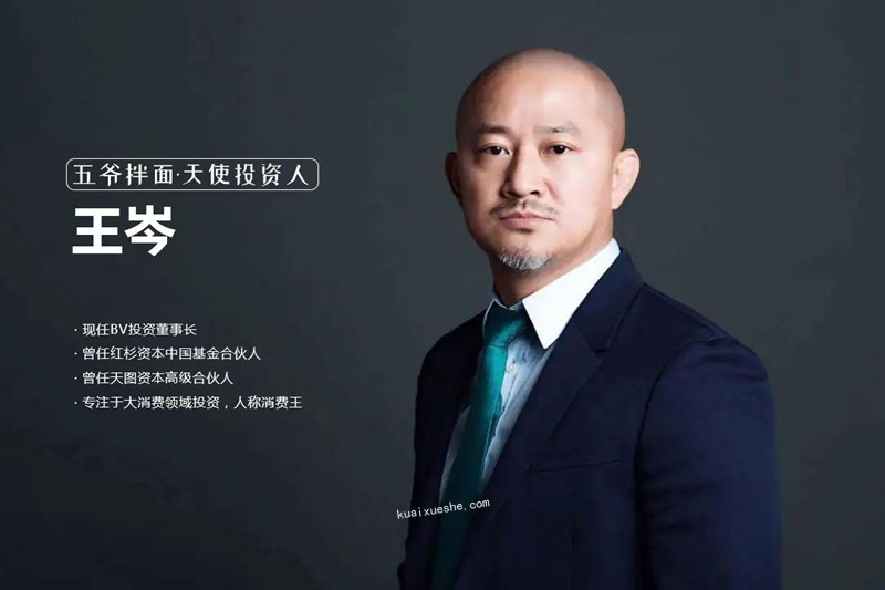 王岑大师精品课程合集百度云分享