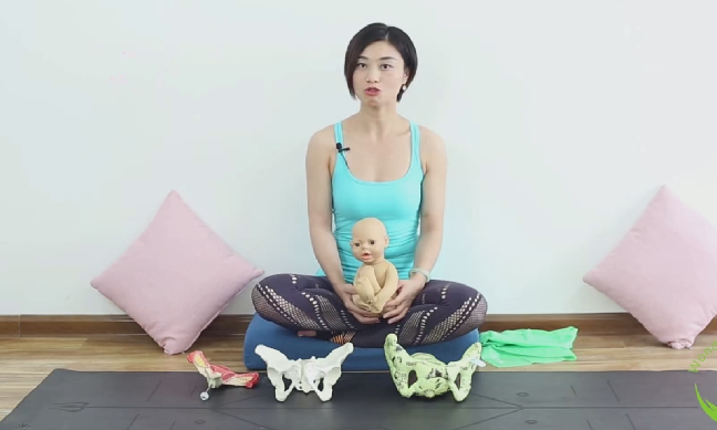 PR+AU 0基础到大师级教程百度云分享