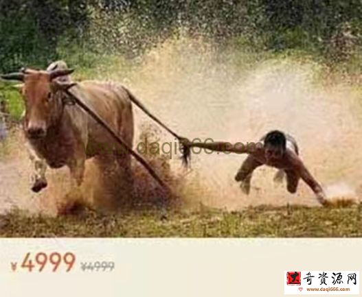 只会炒股 股哥训练营 第十五期 股哥15期