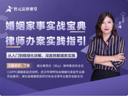 【法律完结】【智元】 《484 丁嫣婚姻家事实战宝典：律师办案实践指引》