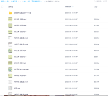 武峰2022.06CATTI冲刺【网盘分享】