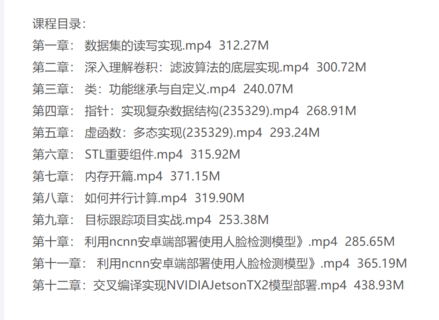 开课吧2021 AI算法落地与工程部署实践(w)