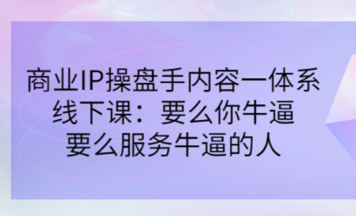 【网赚上新】034.小伟商业IP操盘手线下课