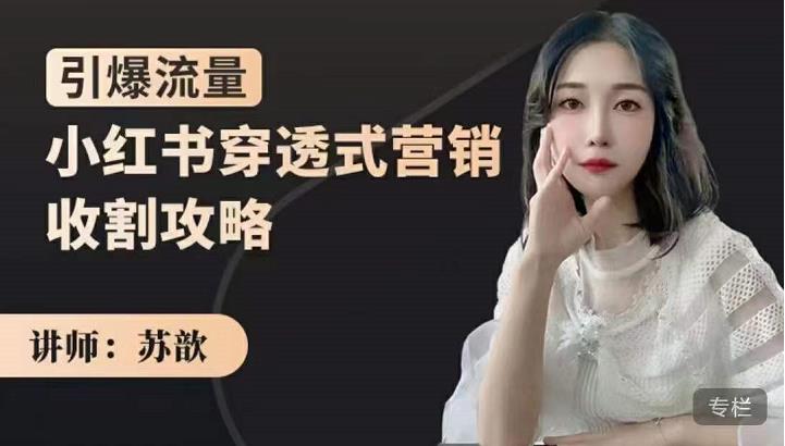 苏歆：小红书穿透式营销收割攻略，引爆流量玩转小红书
