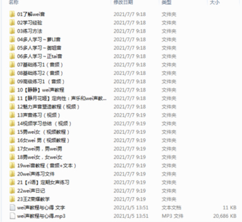 【网赚上新】19.SZ WEI音正式课程0707