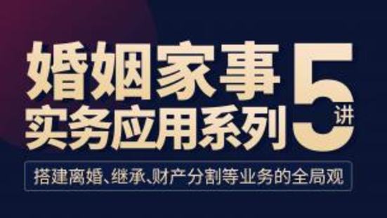 《119 婚姻家事实务应用系列5讲》