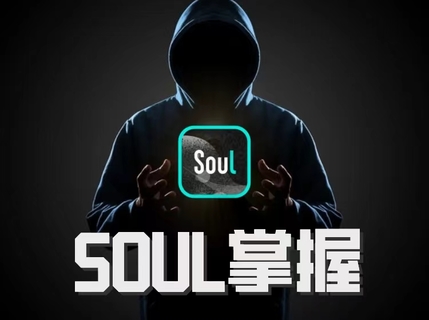 社交光谱社长《Soul掌握》【网盘分享】插图