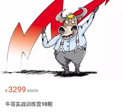 牛哥实战训练营第9期