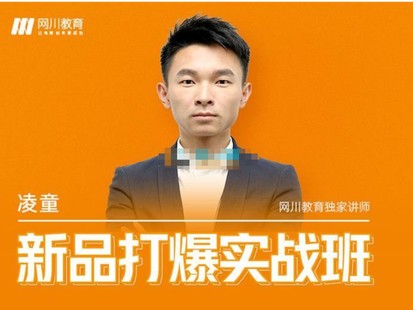 凌童《新品打爆实战班》