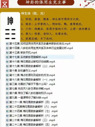 【易学上新】徐丙昕梅花