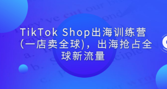 疯人院TikTok Shop 出海训练营（一店卖全球）
