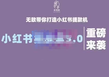 谢无敌・小红书实战营3.0，无敌带你打造小红书提款机