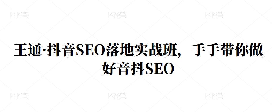 王通・抖音SEO落地实战班，手把‬手带你做好抖音‬‬SEO