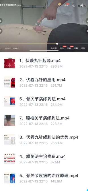 承文-易医绝技：伏羲九针缪刺疗法