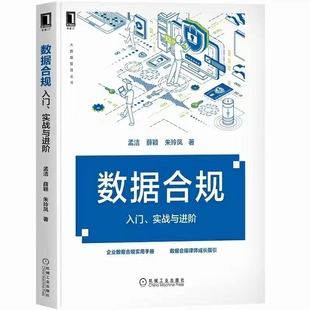 数据合规：入门、实战与进阶 202205 孟洁，薛颖，朱玲凤