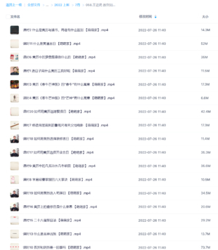 朱源熙【朱氏奇门秘占】 30集