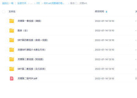 srt灵摆调疗愈初中高视p+音p占卜神秘灵性疗愈两版本素材