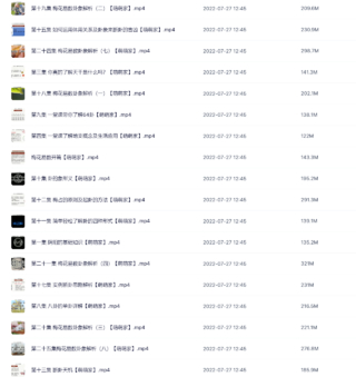 徐炳昕梅花基础