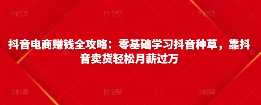 抖音电商赚钱全攻略：零基础学习抖音种草抖音卖货