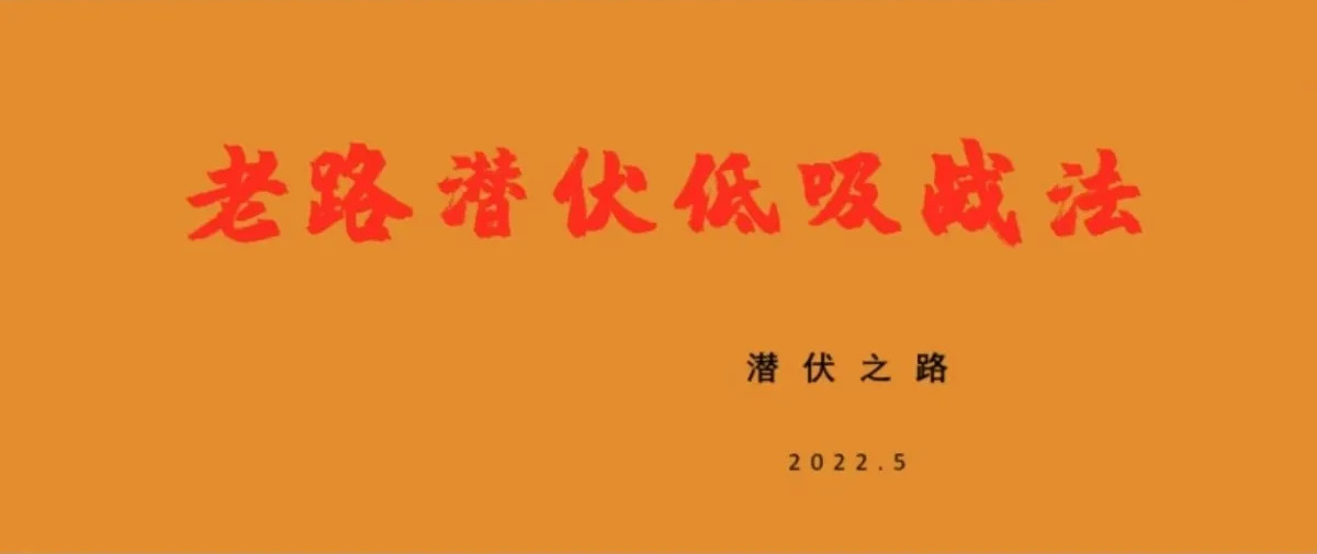 老路潜伏低吸战法（网盘分享）