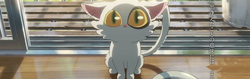 新海诚《すずめの戸締まり/铃芽户缔》公布预告片