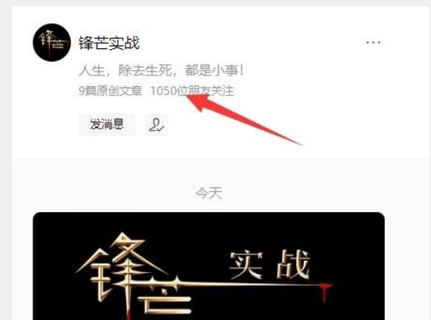 《锋芒实战》（网盘分享）