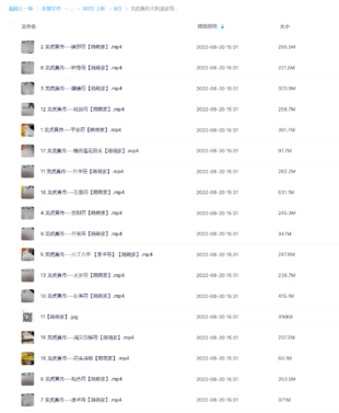 龙虎真传天师道家符咒网盘分享