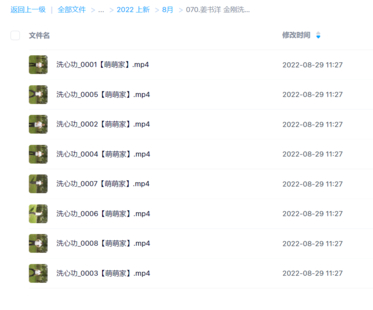 姜书洋 金刚洗心功网盘分享