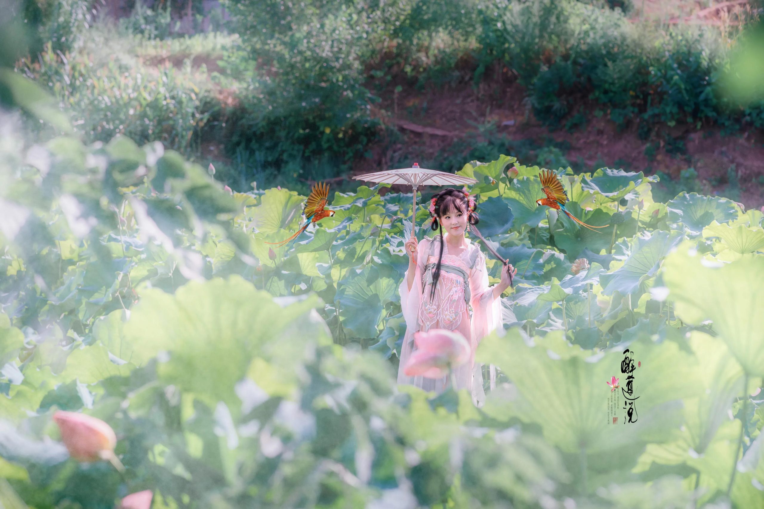 心醉迷，梦醉迷。叶铺池，花开池。