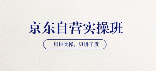 【京东自营实操班】只讲实操，只讲干货（28小时课程-共2期）网盘分享